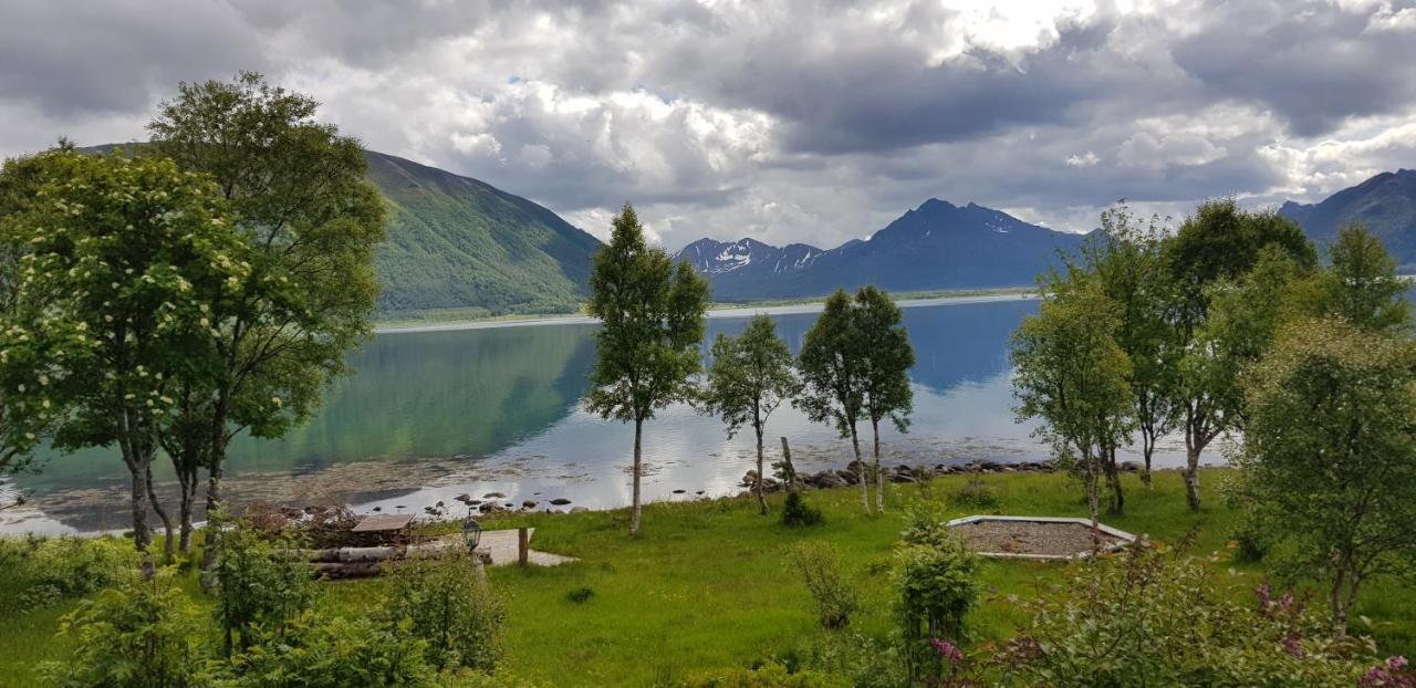 Lykkebo, Skjoldehamnveien 1151, Nygard, Andoy Villa Risoyhamn Exterior foto