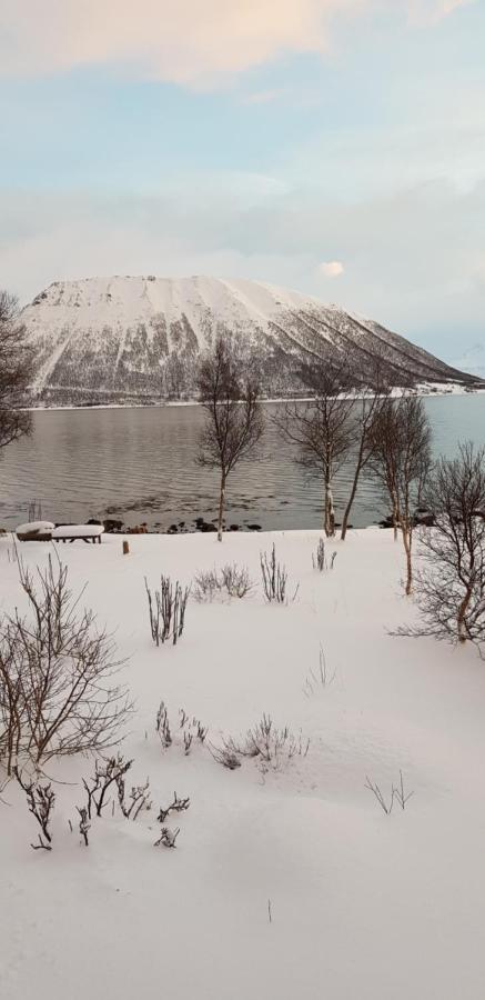 Lykkebo, Skjoldehamnveien 1151, Nygard, Andoy Villa Risoyhamn Exterior foto
