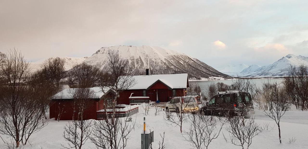 Lykkebo, Skjoldehamnveien 1151, Nygard, Andoy Villa Risoyhamn Exterior foto